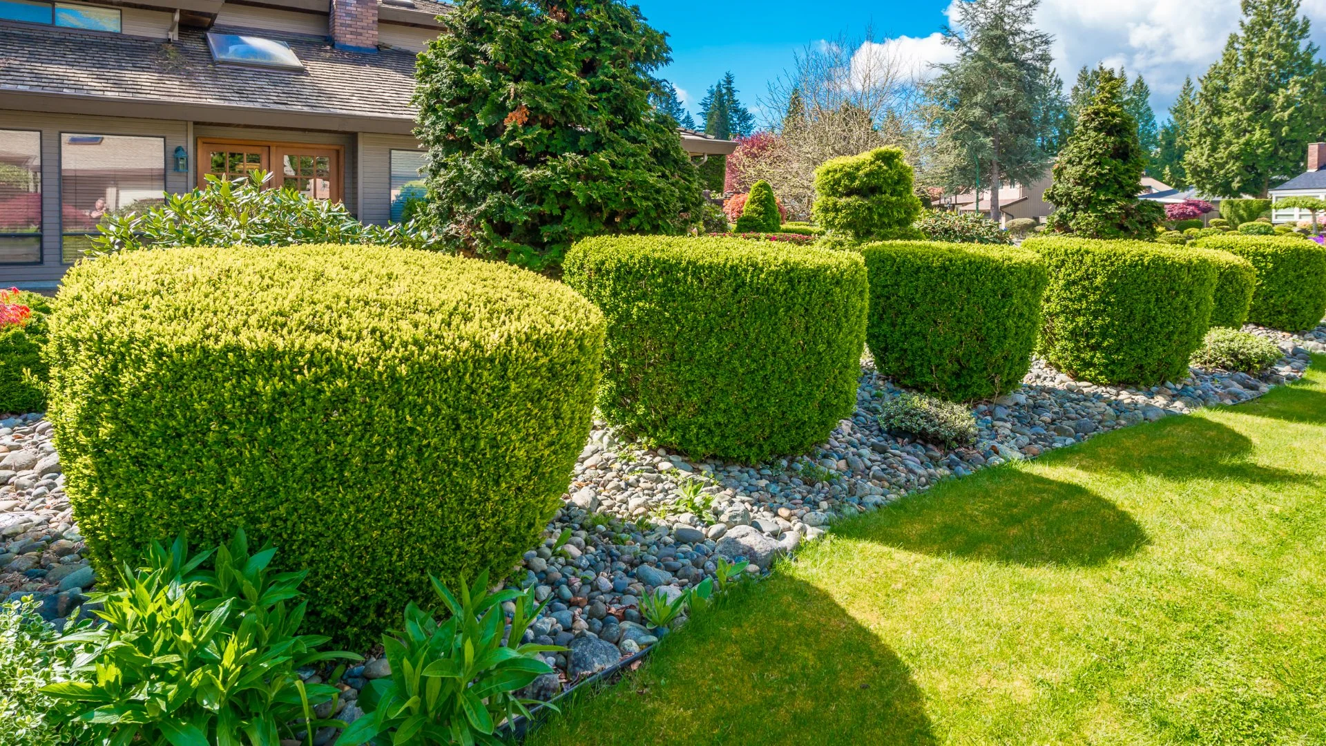 Don't Overlook the Role of Trimming in Plant Aesthetics