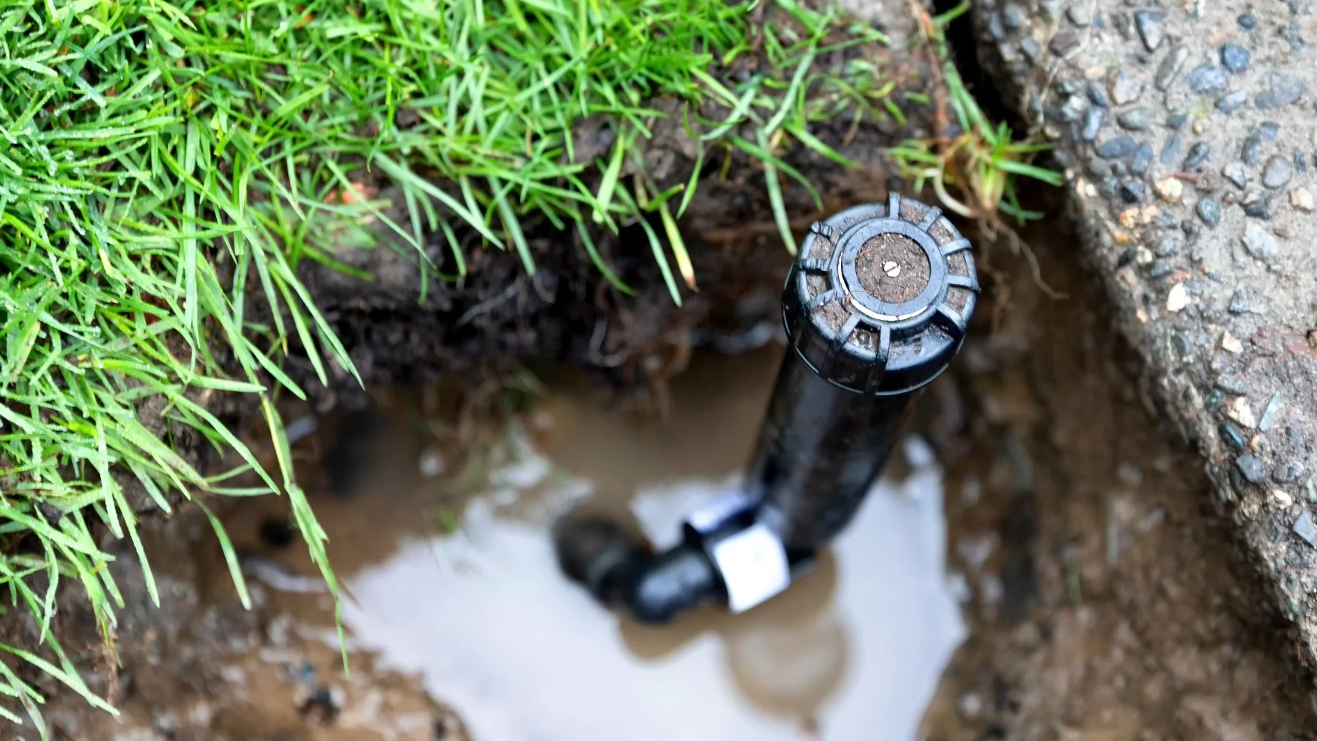Factors That Impact the Cost of Irrigation System Repairs