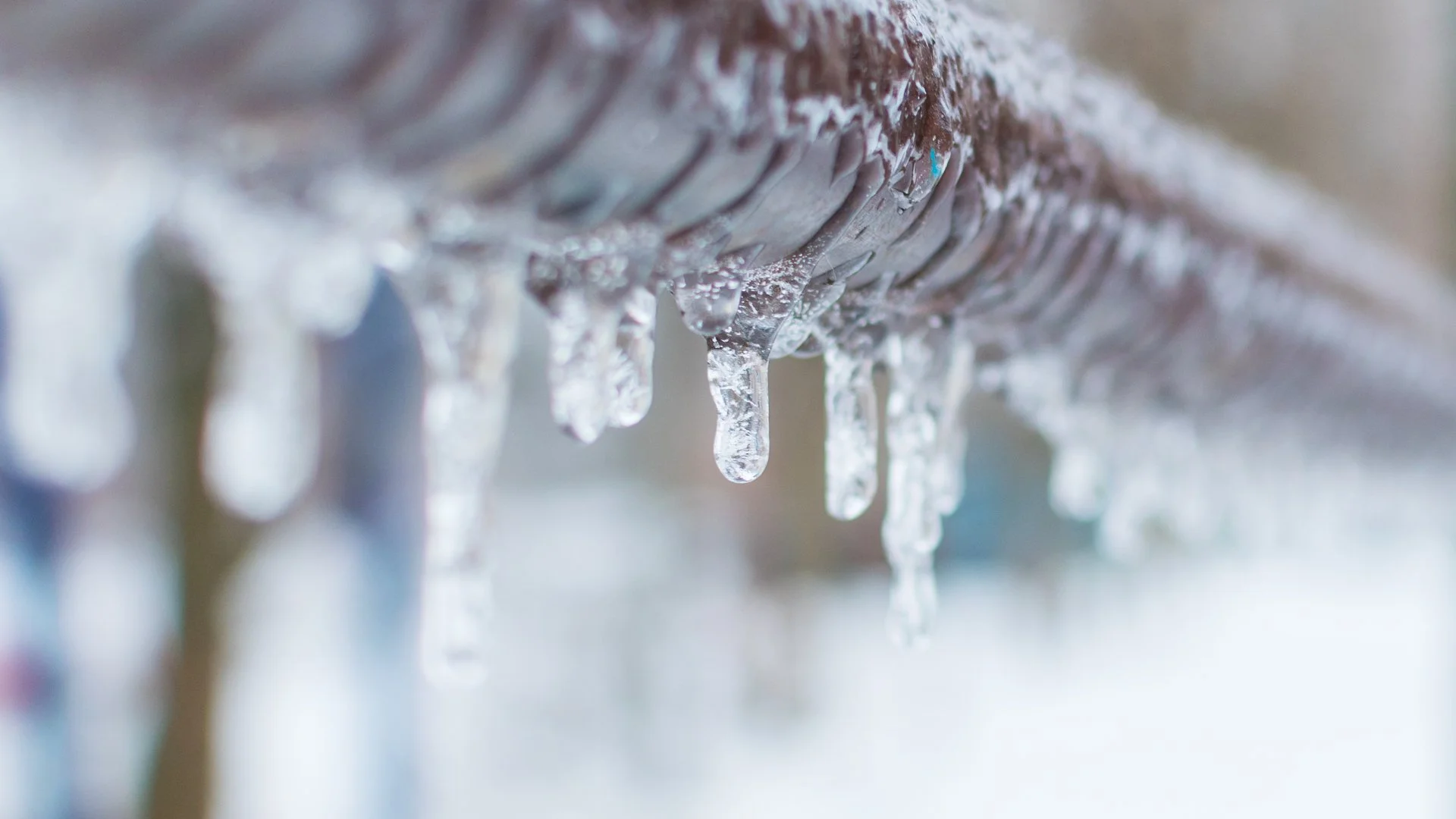 When Are Irrigation Systems Winterized in Alabama?