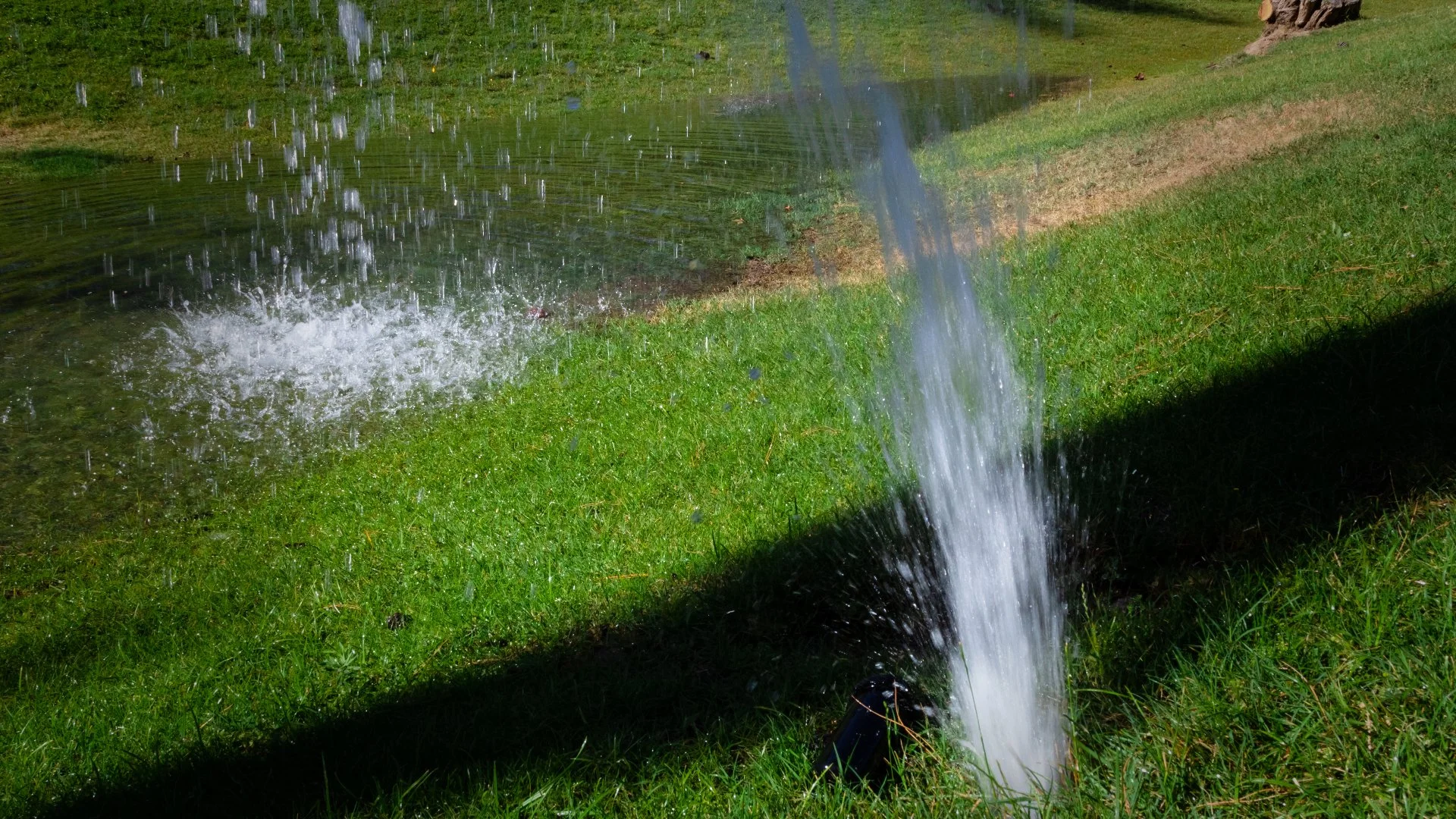 How to Identify Irrigation System Issues - Signs to Look For