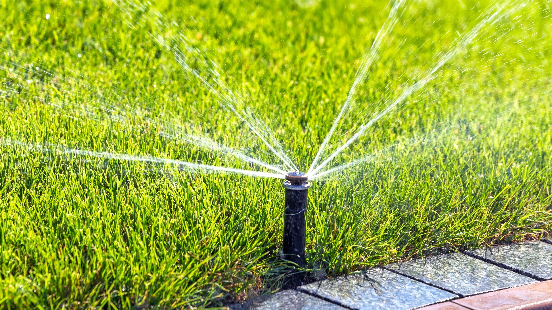 When's the Best Time to Schedule an Irrigation Startup in Alabama?