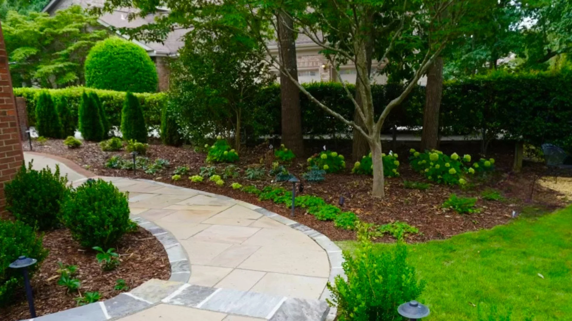 Why Are Native Plants the Best Choice for Your Landscape?