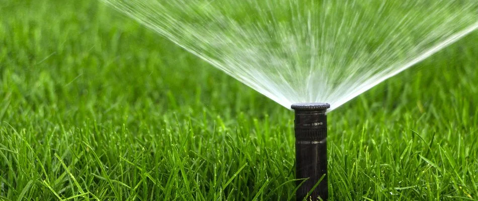 Irrigation sprinkler head spraying water on lawn in Huntsville, AL.