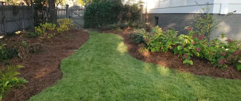 Mulched landscape bed in Ashland, AL, with plants and flowers.