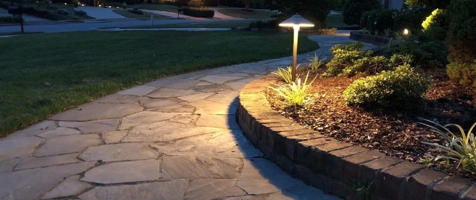 Landscape lighting on a walkway.