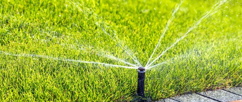 Sprinkler head on a lawn in Triana, AL, spraying water.