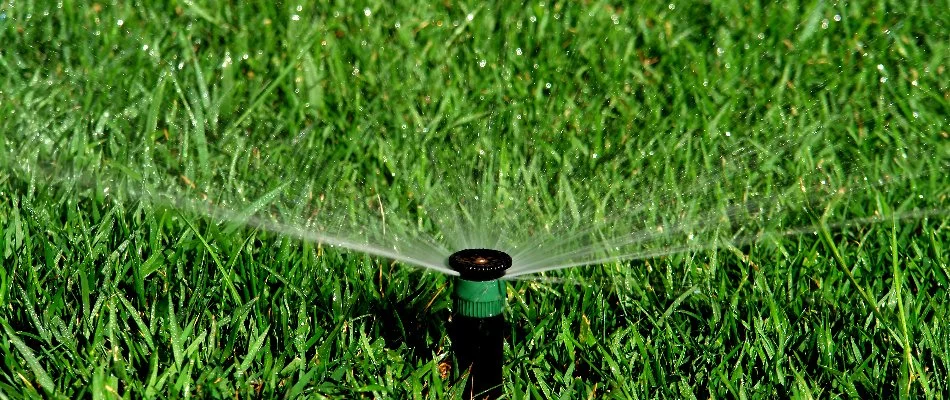 Sprinkler head watering green grass in Brownsboro, AL.