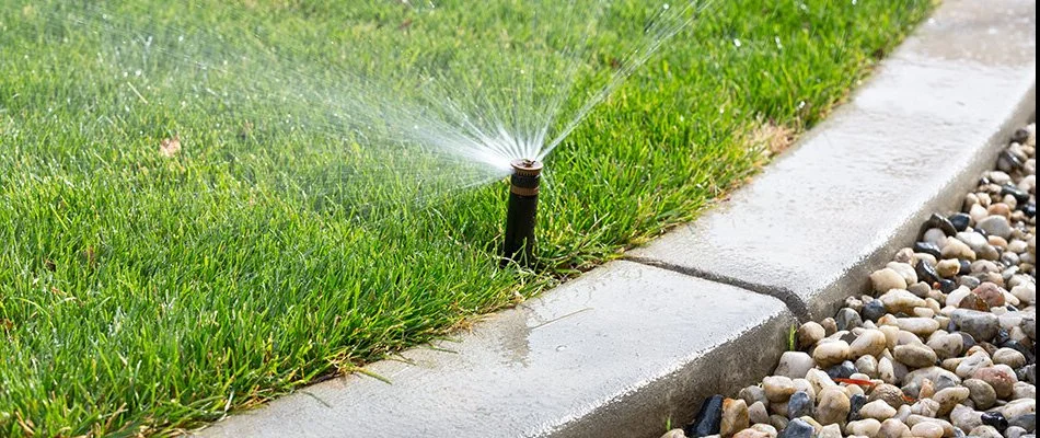 Sprinkler head from irrigation system in Huntsville, AL.